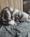 青椒椒护肤充能站