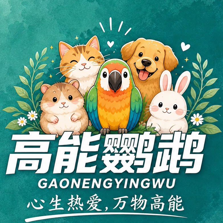 高能鹦鹉旗舰店 店铺LOGO