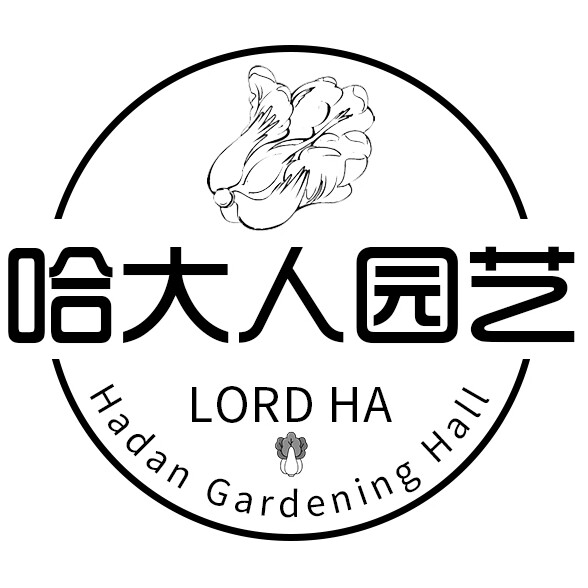 哈大人旗舰店