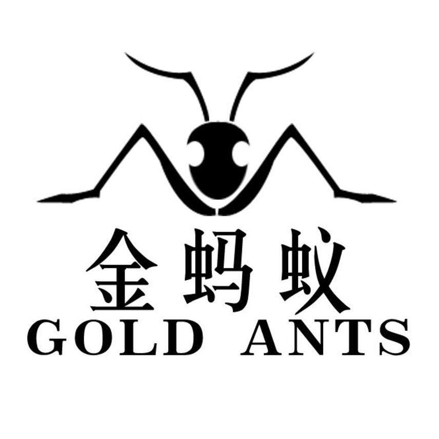 金蚂蚁体育折扣店