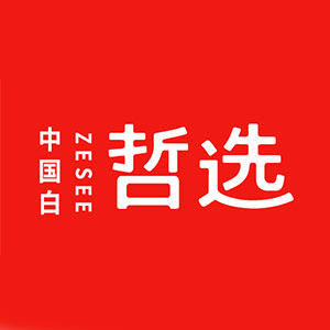 哲选 店铺LOGO