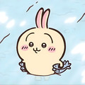 瑶瑶家贴纸屋