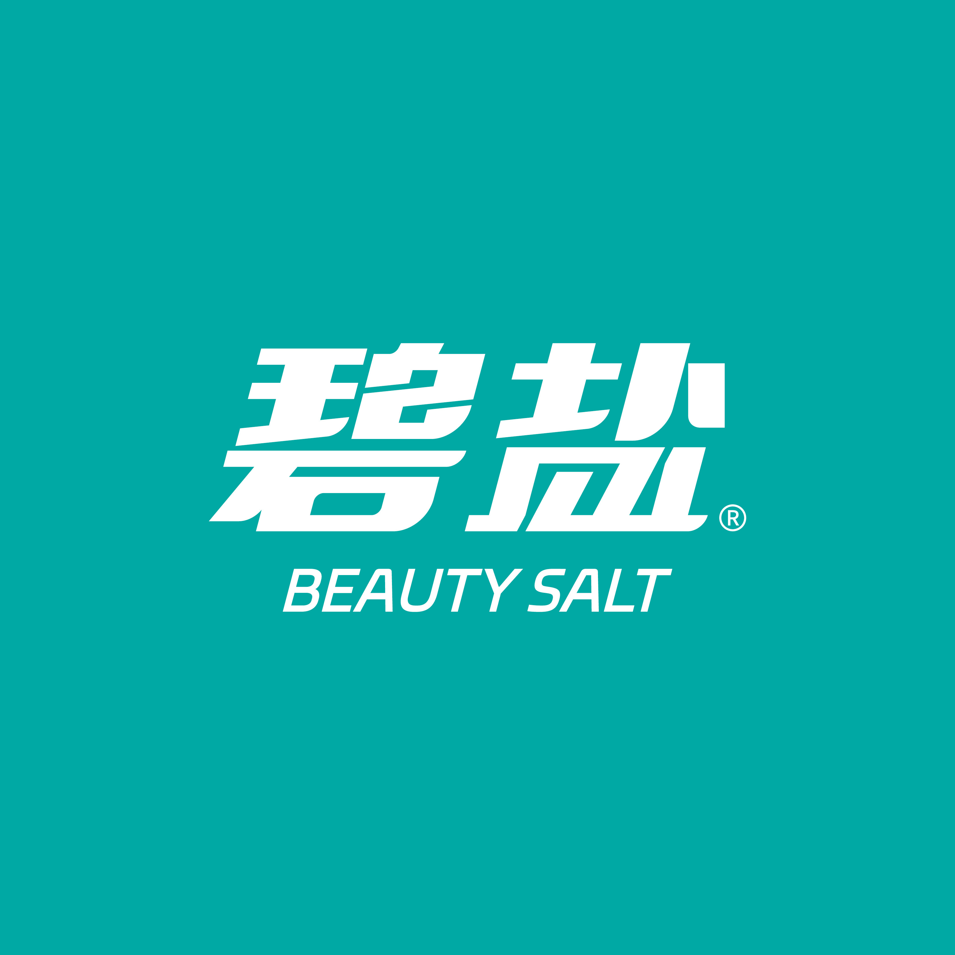 碧盐企业店