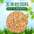王艺轩的小店