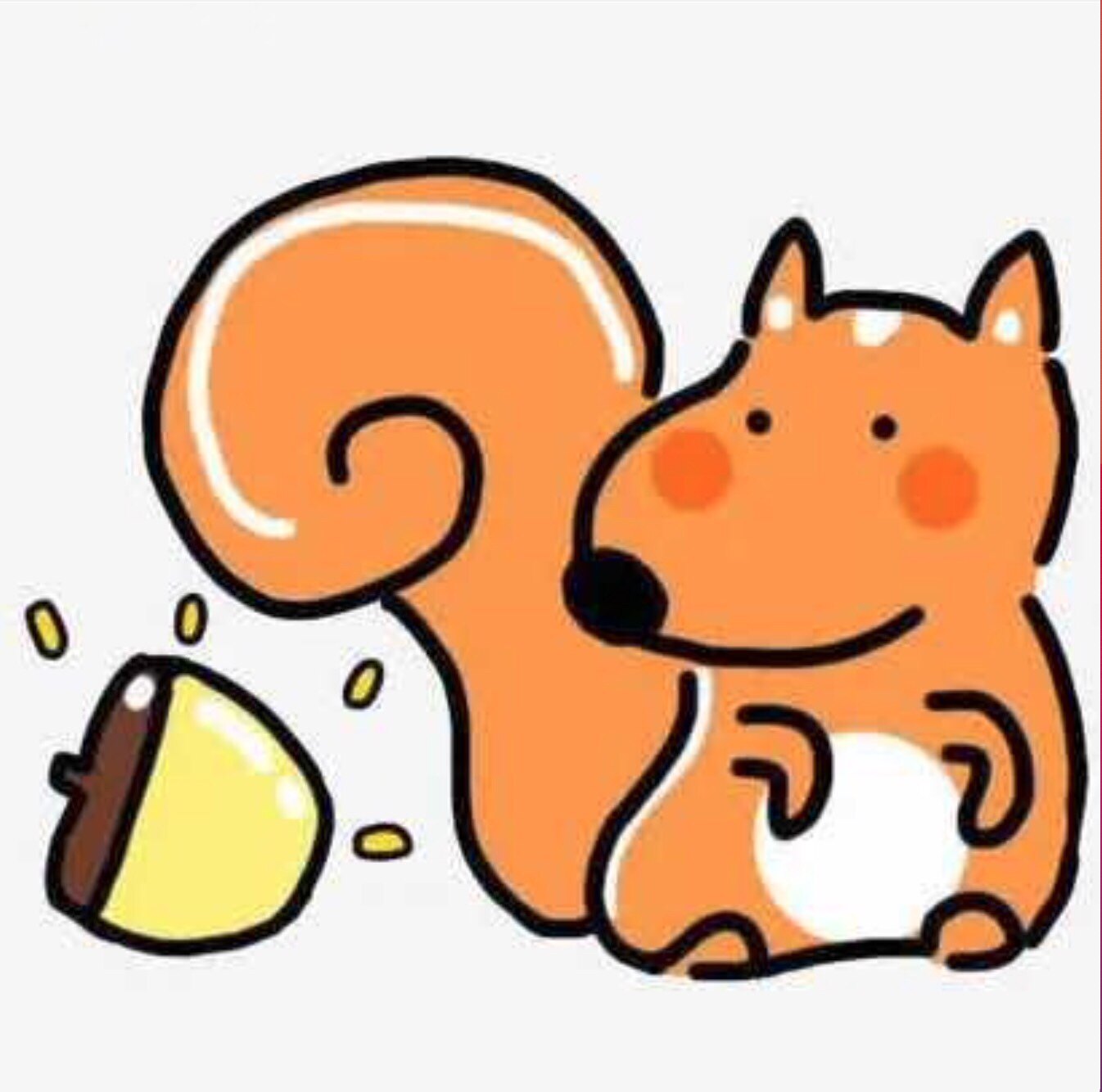 松鼠照片冲印