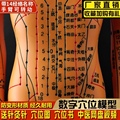 华夏教学模型厂家店