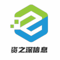 武汉资之深信息技术有限公司 店铺LOGO