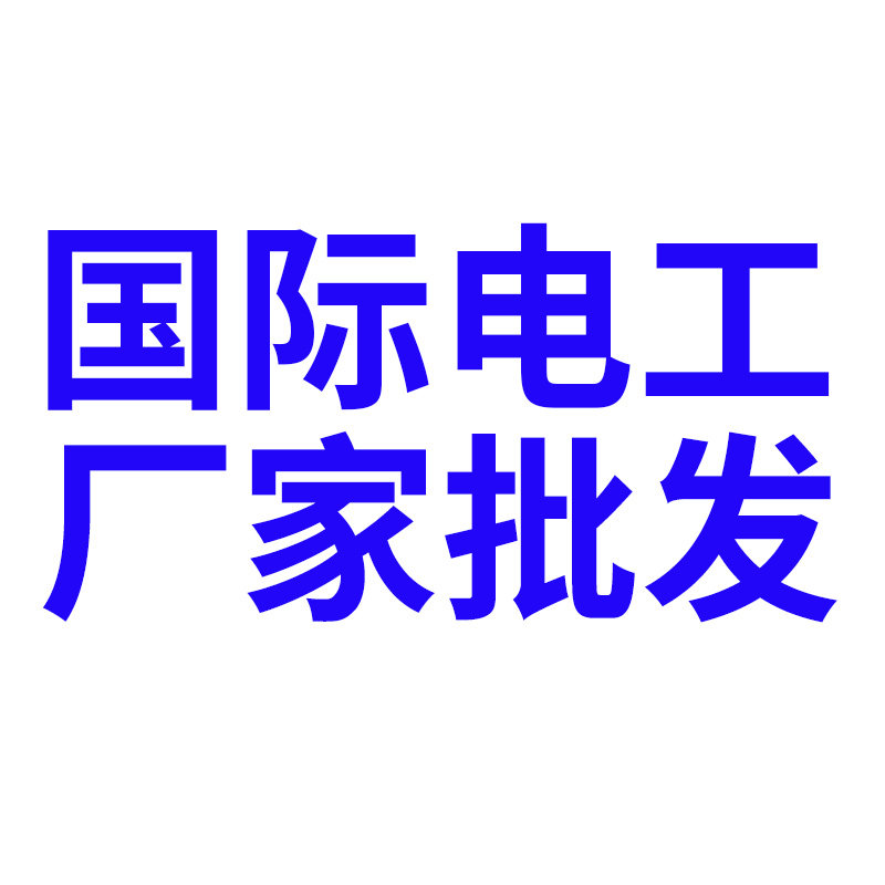 国际电工厂家批发