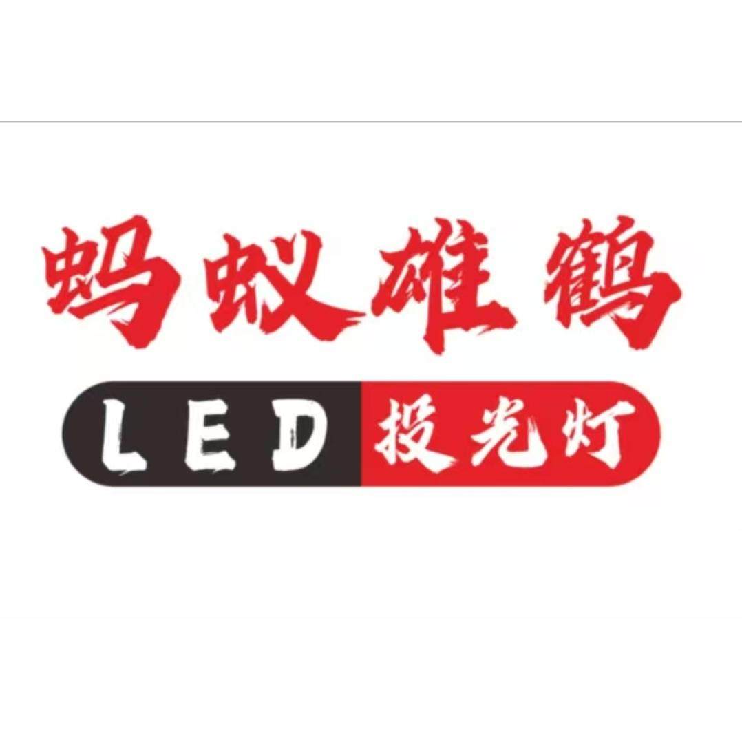 蚂蚁雄鹤投光灯