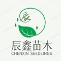 辰鑫苗木