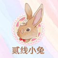二线小兔 店铺LOGO