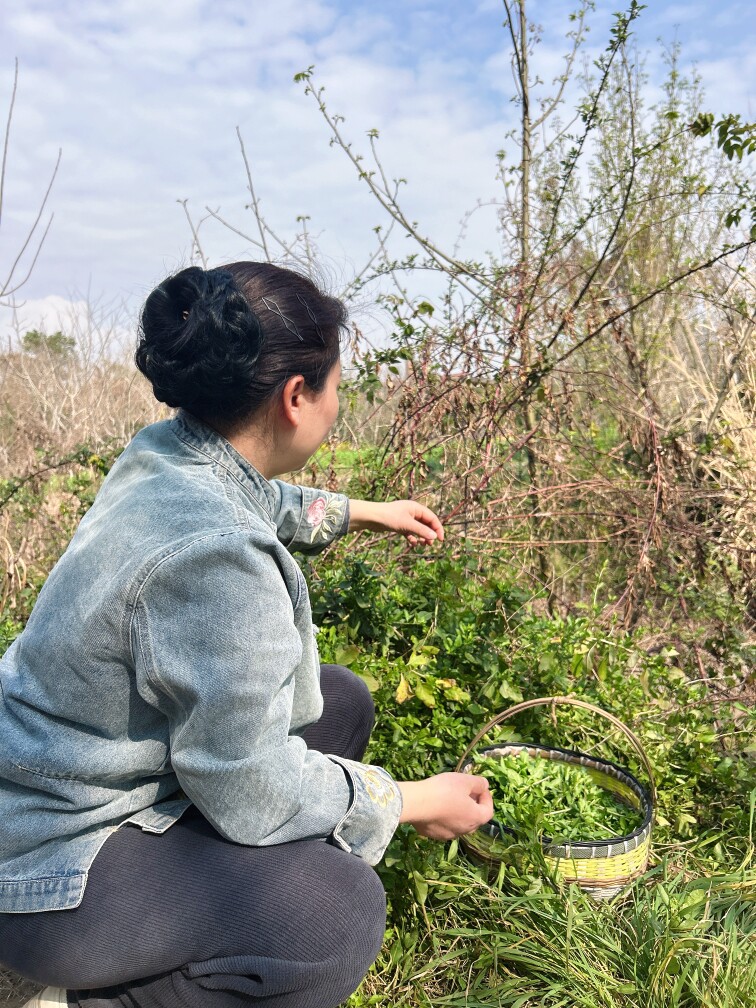 山水田地间