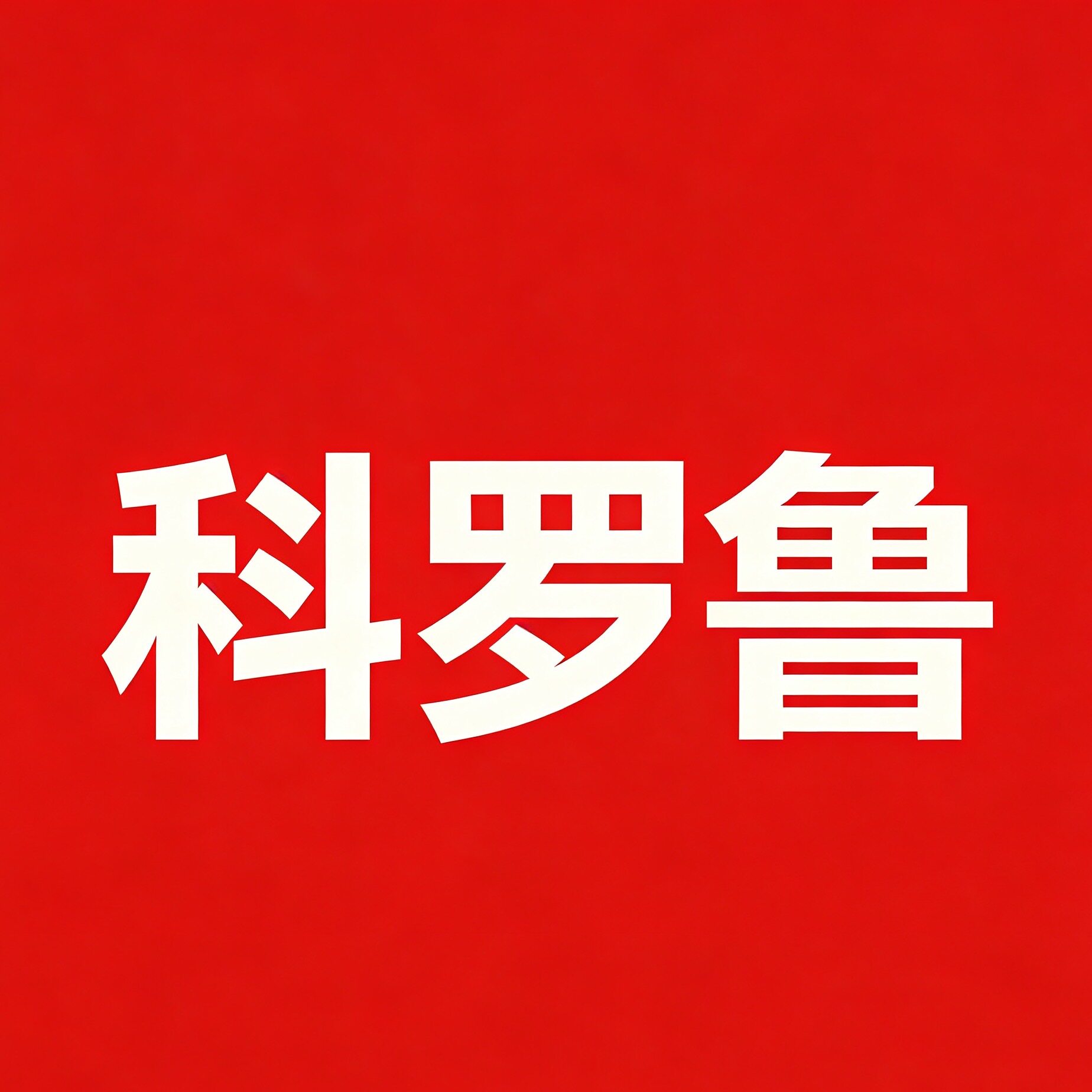 科罗鲁数码旗舰店