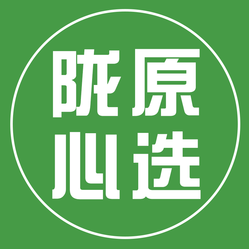 陇原心选官方店 店铺LOGO