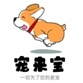 宠来宝宠物用品企业店