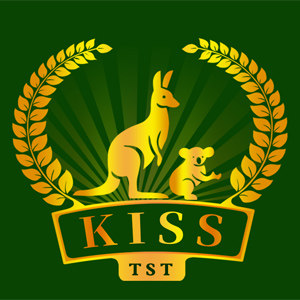 KISSTST旗舰店