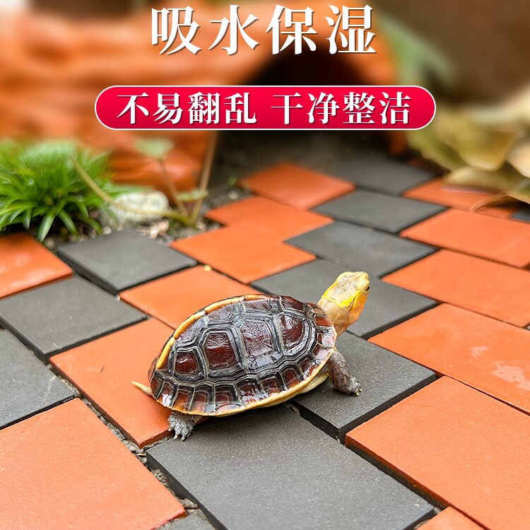 箱箱乐爬宠用品店