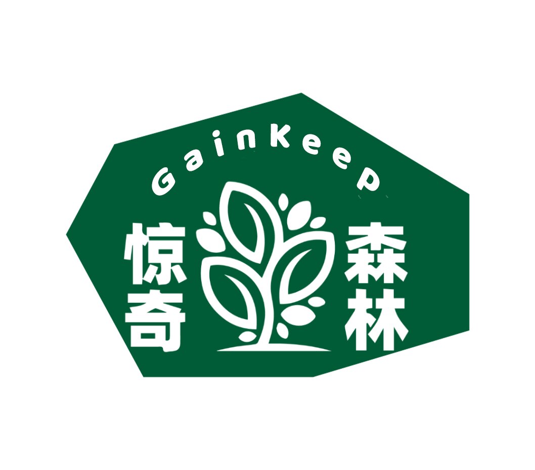 惊奇森林