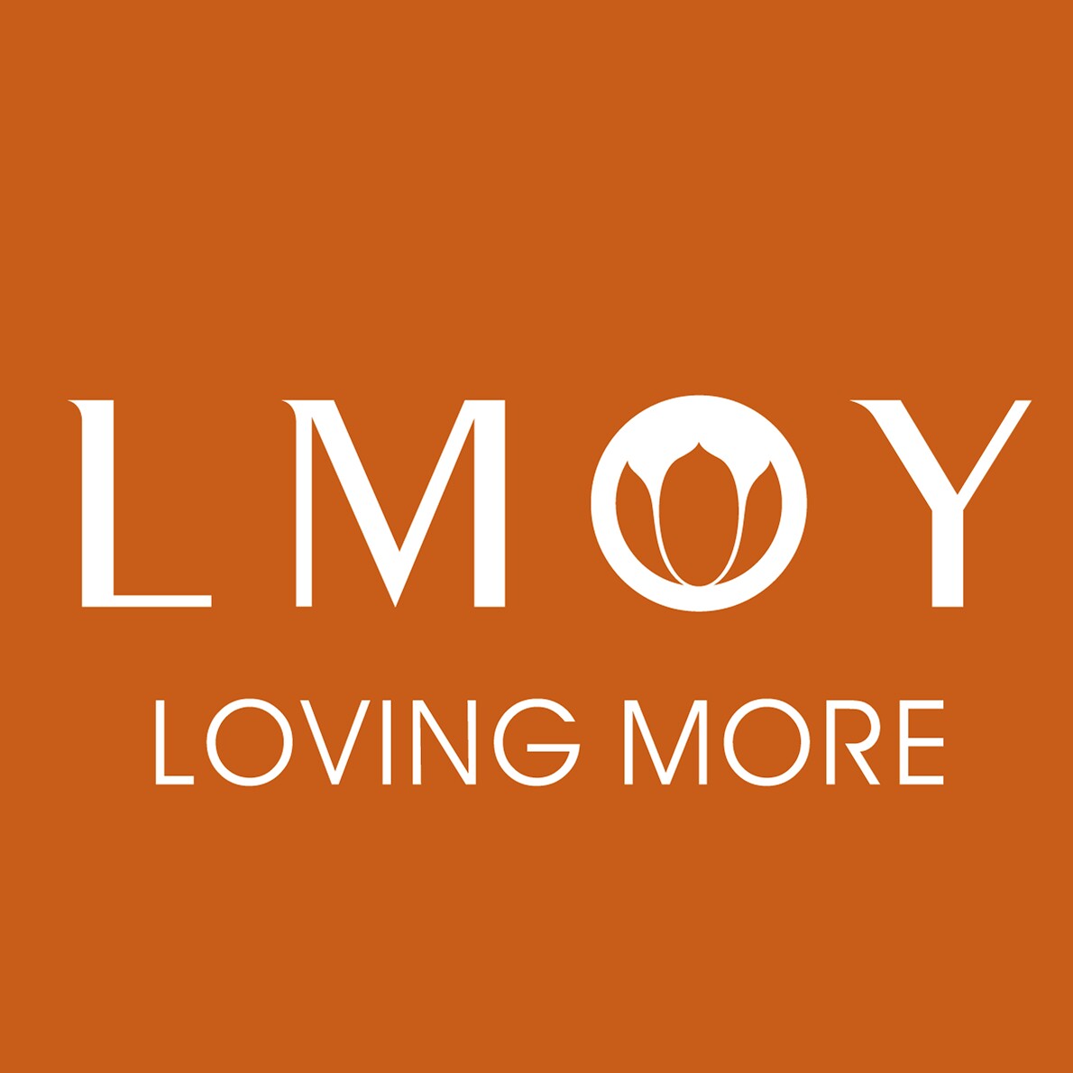 lmoy旗舰店