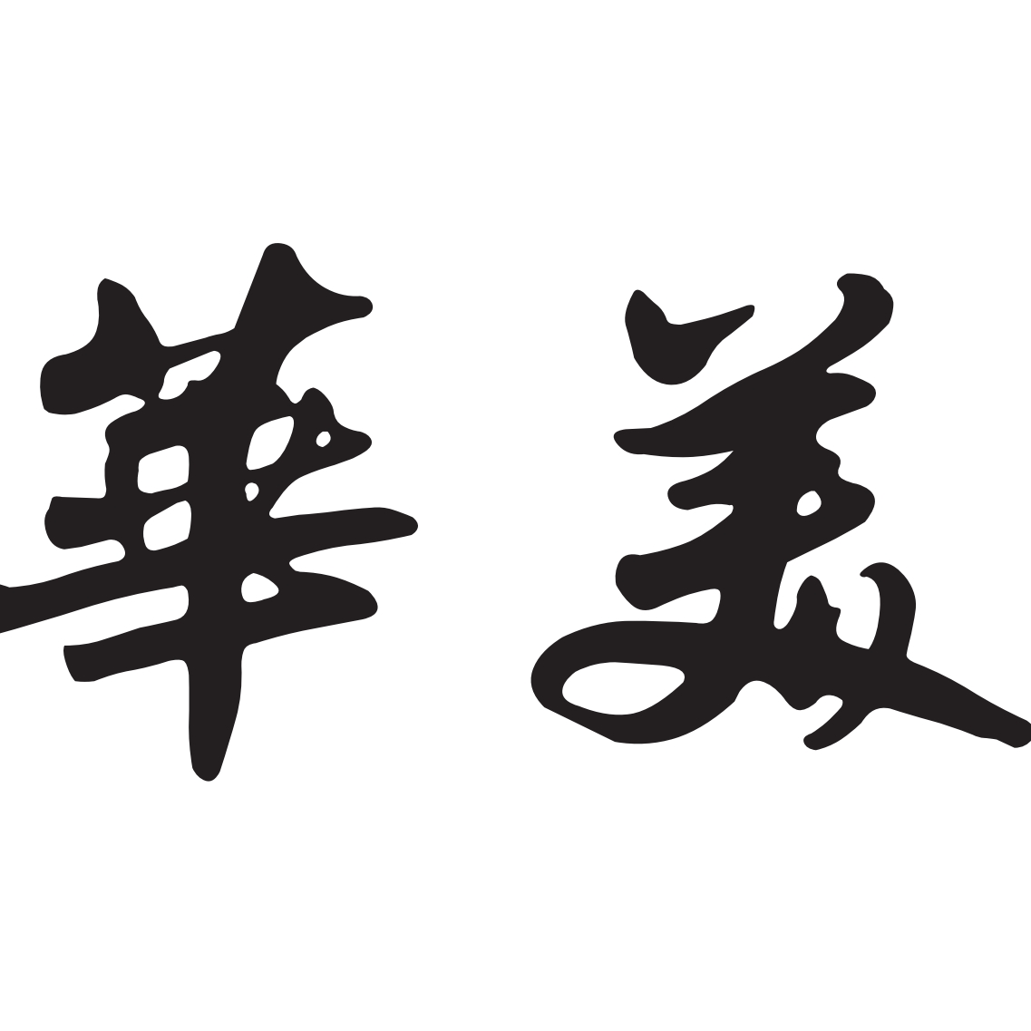 华美羽毛球企业店