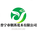 普宁市朝苒花木有限公司