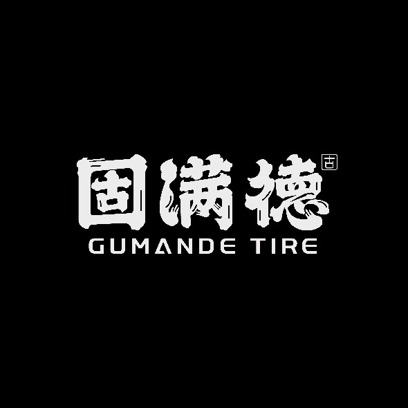 天选之子旗舰店