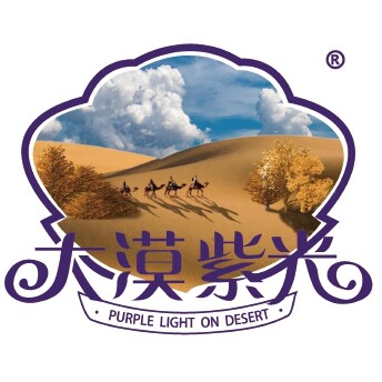 大漠紫光食品旗舰店