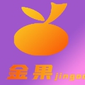 金果科技工作室