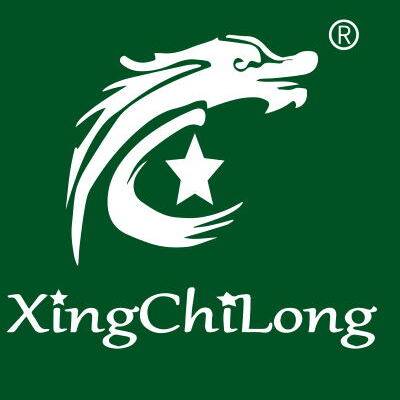 星驰龙旗舰店