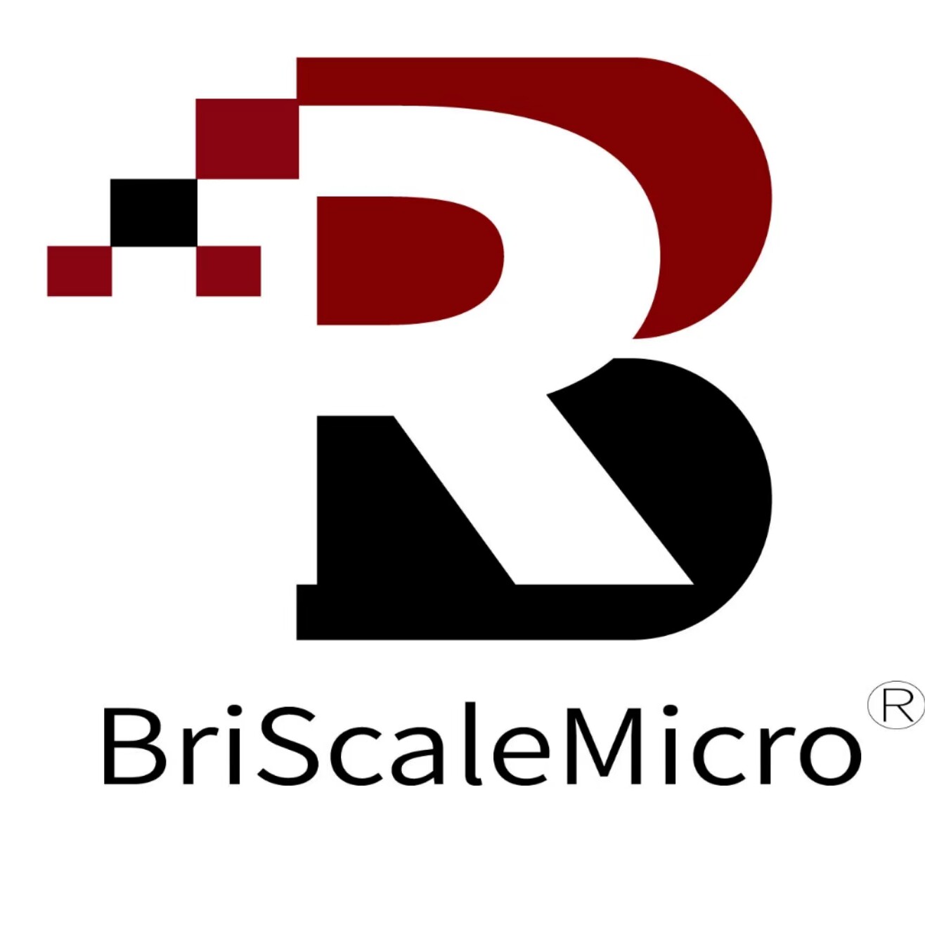 BriScalemicro模玩旗舰店