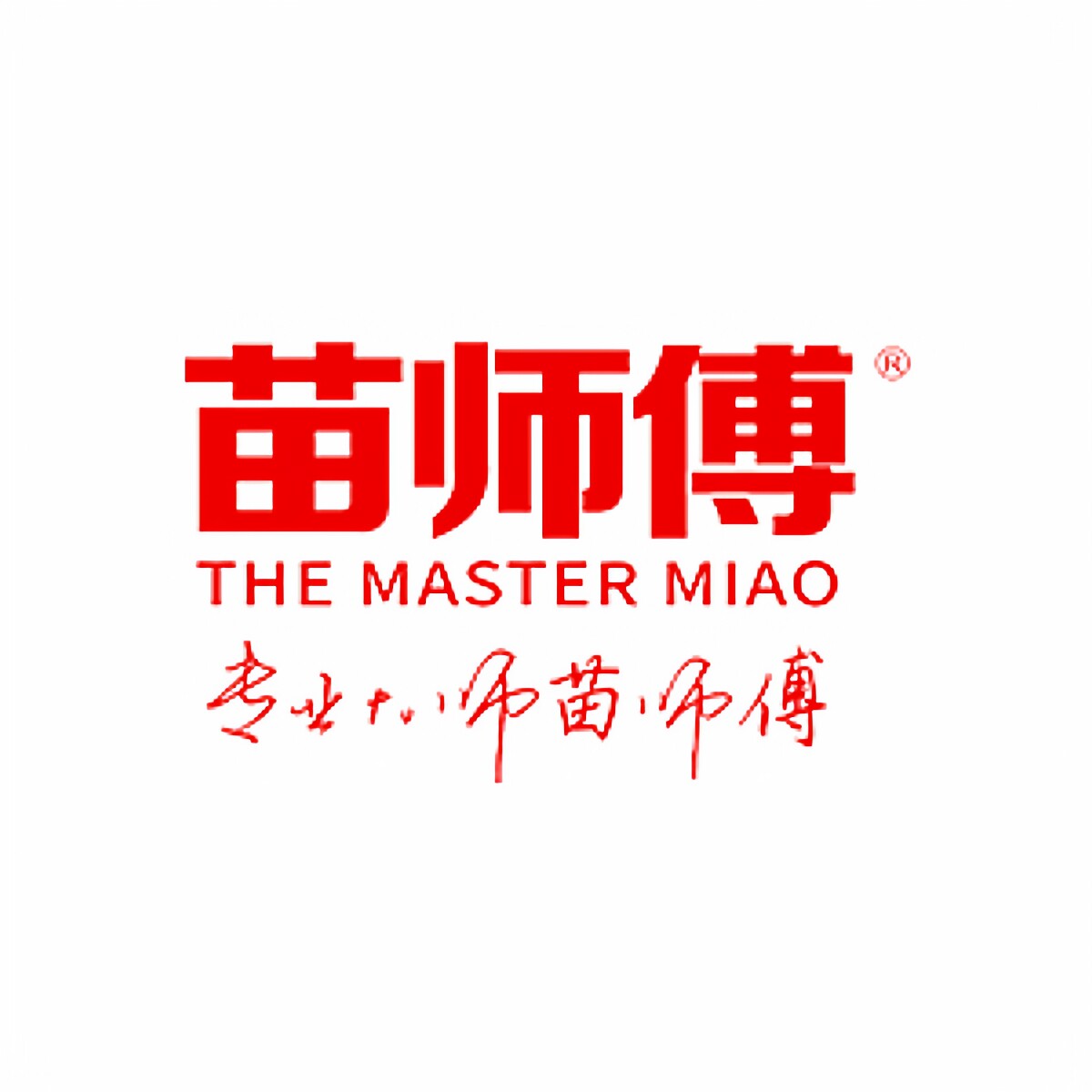 苗师傅维修保养官方店