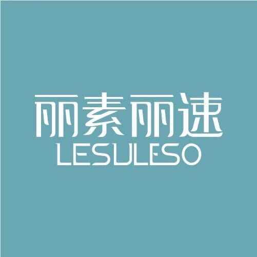 LESULESO丽素丽速旗舰店