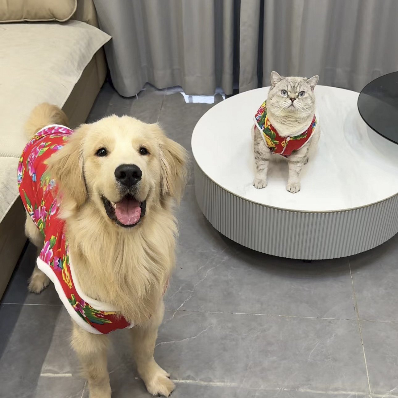 宠物管家优选宠物用品