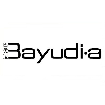 Bayudia企业店