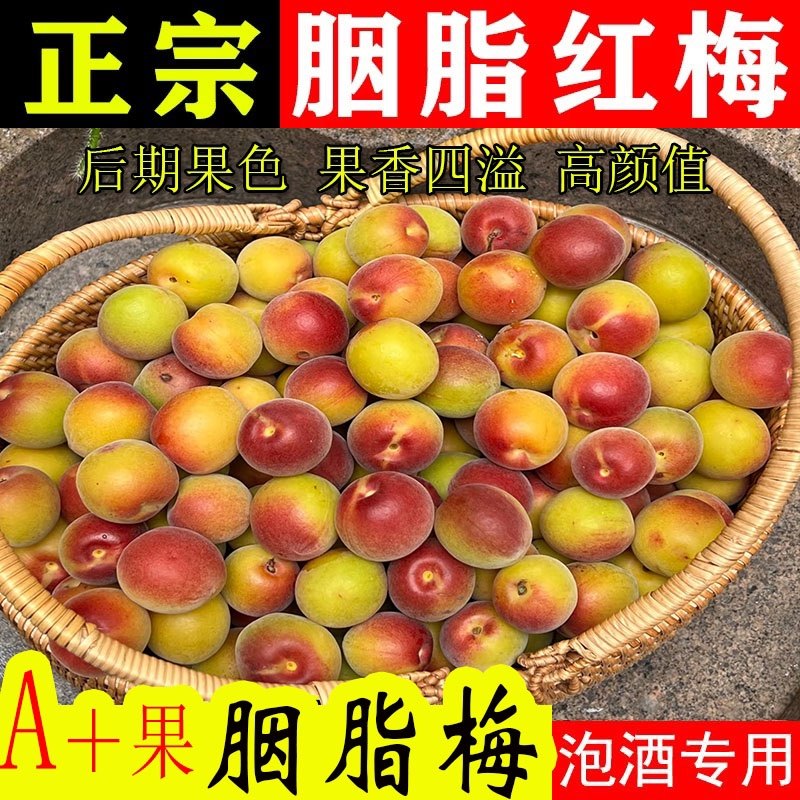 觅鲜匠果蔬官方店
