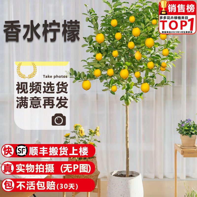 自然与诗意生活馆