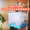 悟空量子
