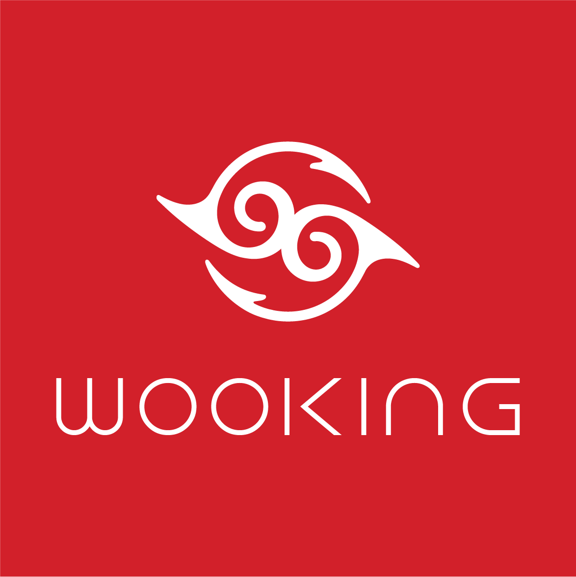 WOOKING旗舰店