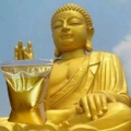 金泰金粉进出口