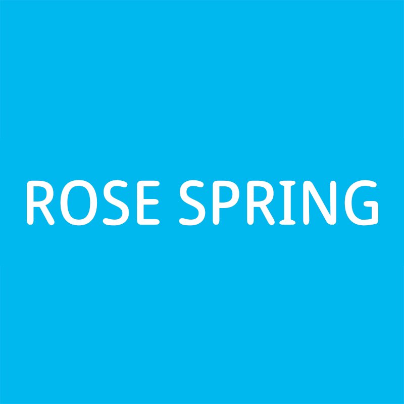 ROSE SPRING