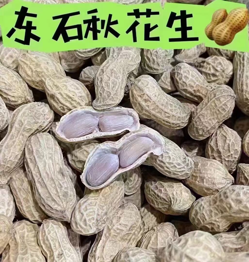 粤食尚品客家特产