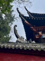 大民福·专注品牌·茶与器