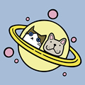 喵犬星球PETSTAR