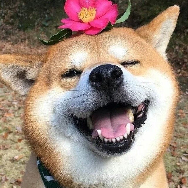 龙祥商贸城企业店