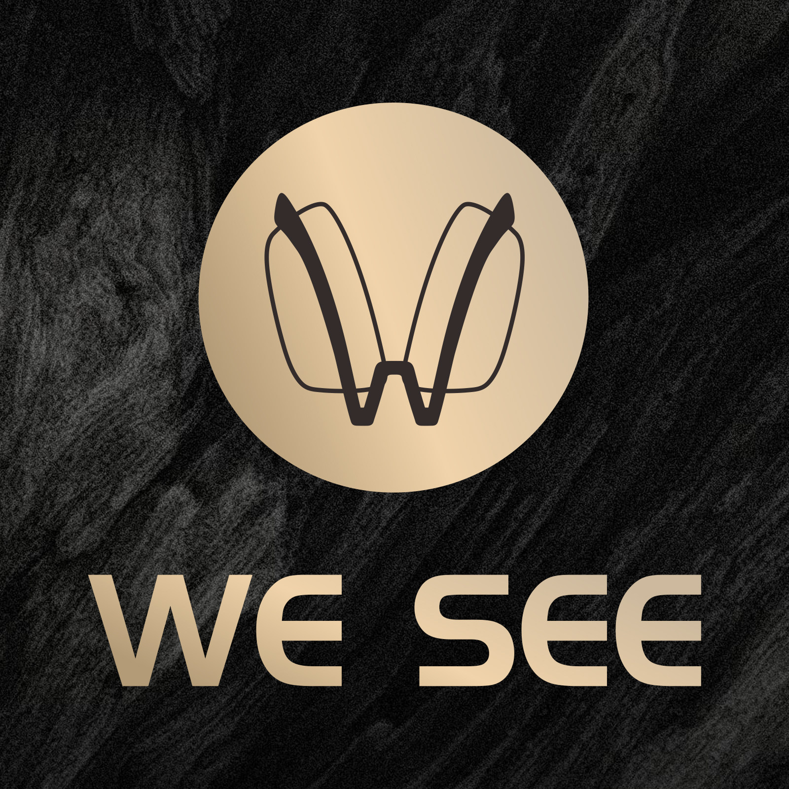 wesee旗舰店