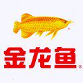 金龙鱼有佳专卖店