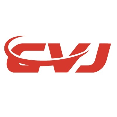 cvj旗舰店 店铺LOGO