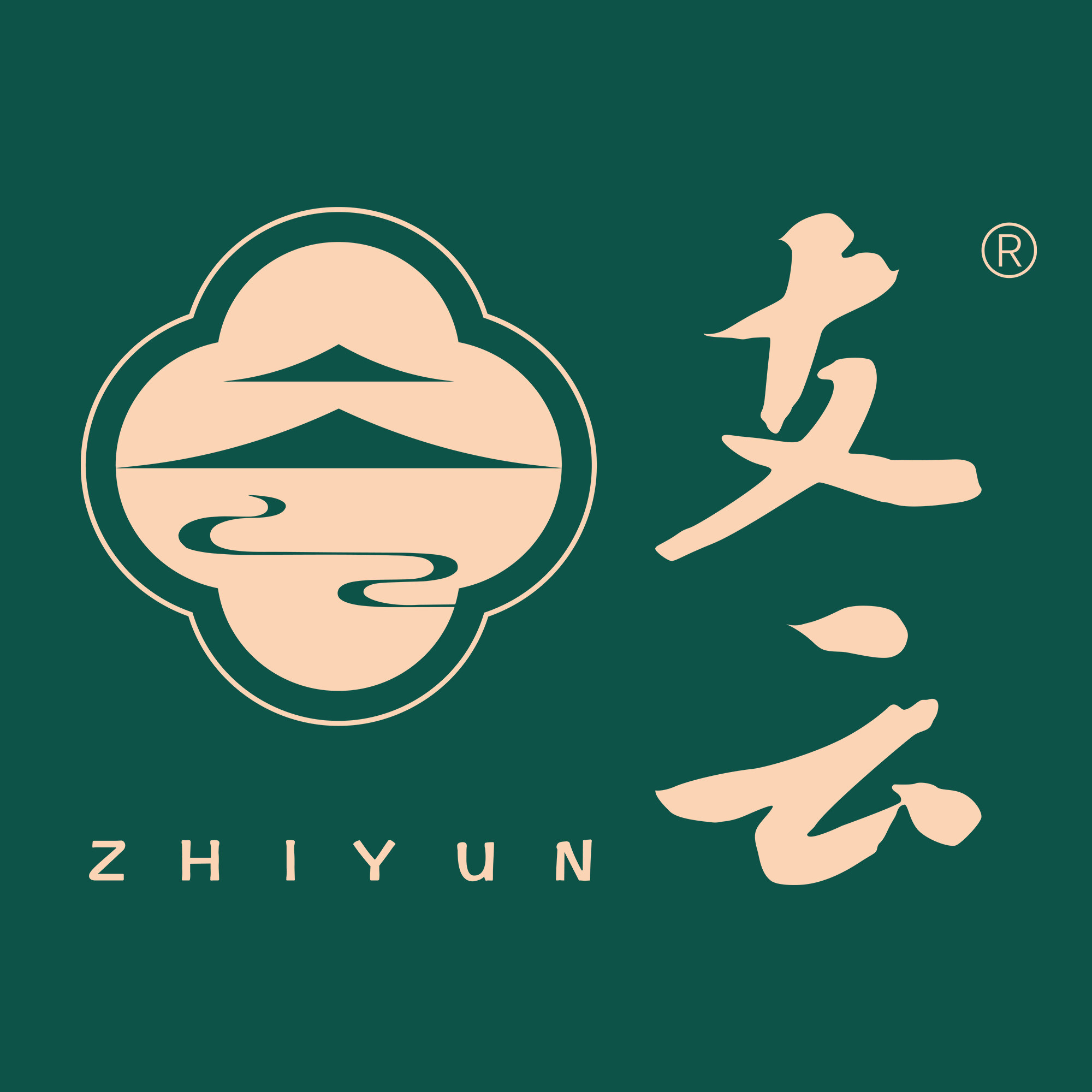 支云旗舰店 店铺LOGO