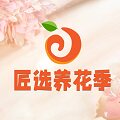 匠选养花季旗舰店
