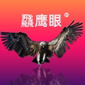 飝鹰眼旗舰店